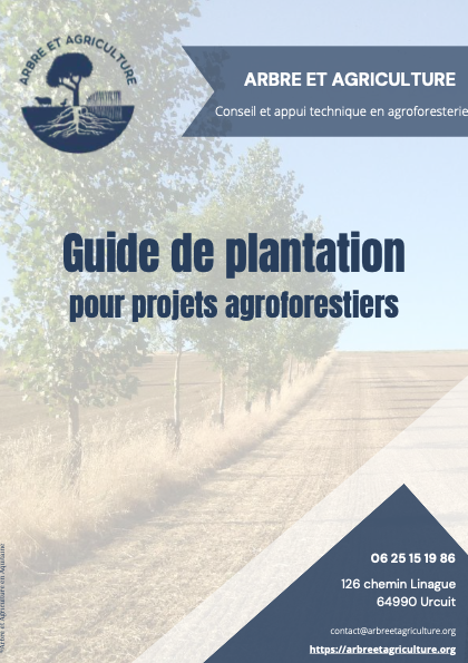 Guide de plantation pour projet agroforestier
